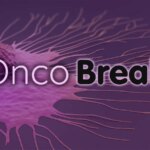 Weight Gain & Cancer Risk; Steppin' Out After Surgery; Depression in Ovarian Cancer