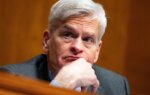 Senator Bill Cassidy Is Out. He's Taking the Science With Him.