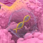 Prostate Cancer Drug Linked to Lower Risk of Cognitive Decline
