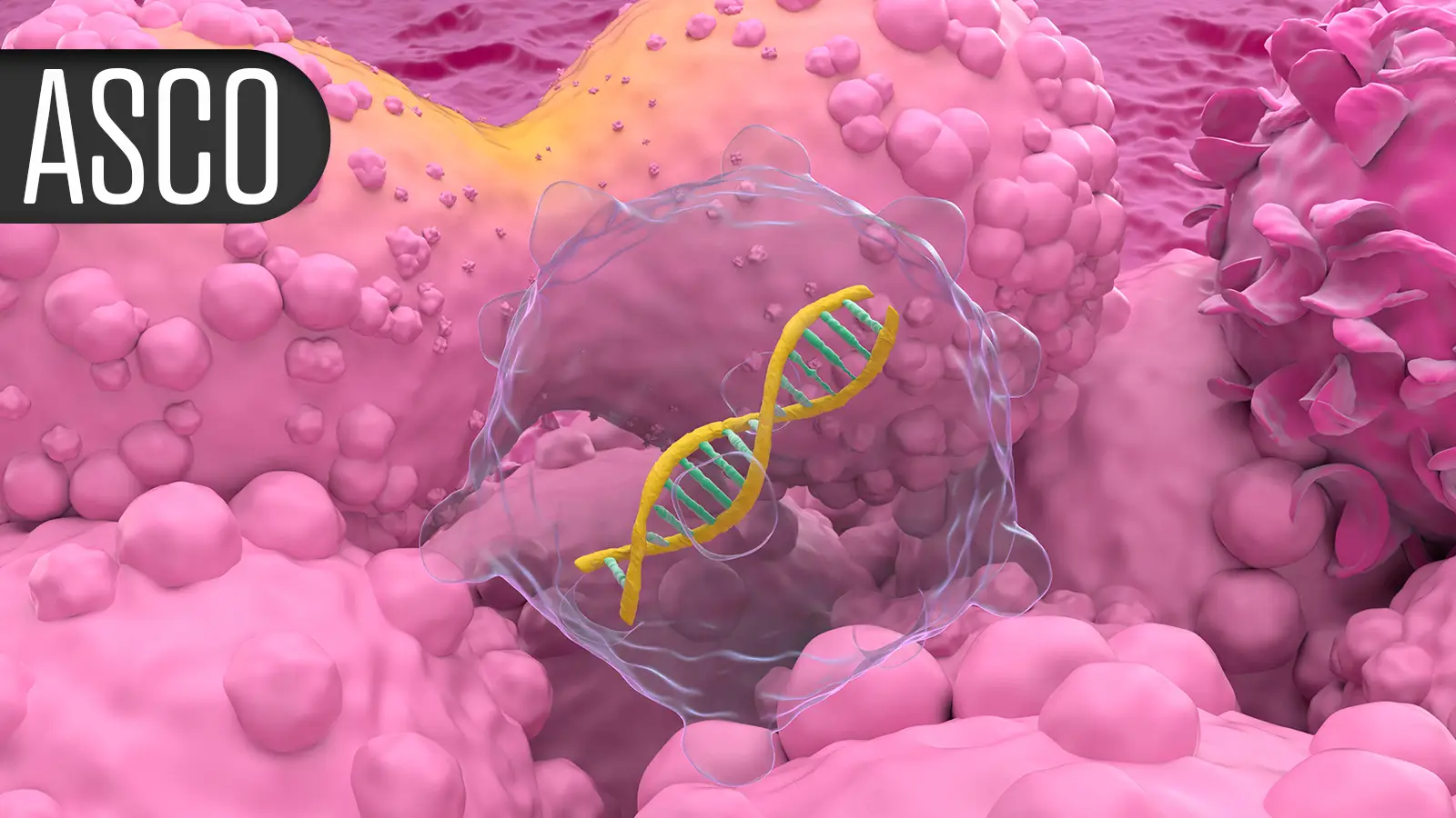 Prostate Cancer Drug Linked to Lower Risk of Cognitive Decline