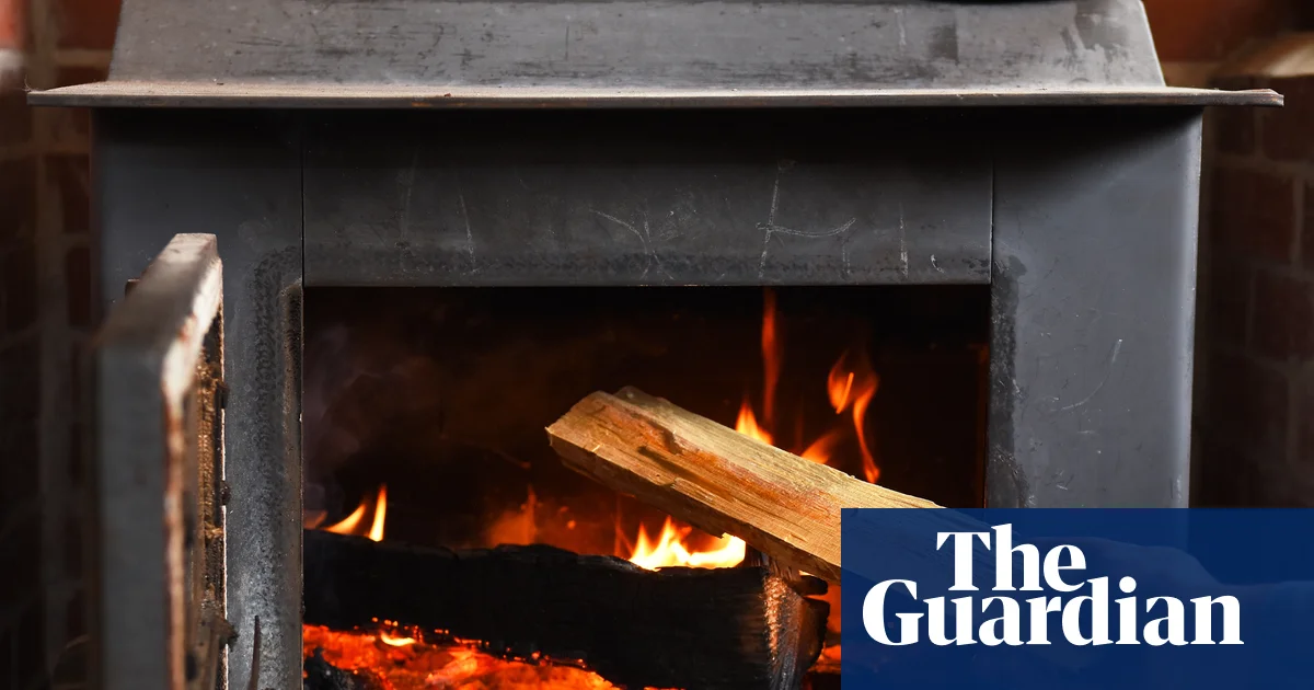 Wood burning is reintroducing lead pollution into the air, US scientists find | Air pollution