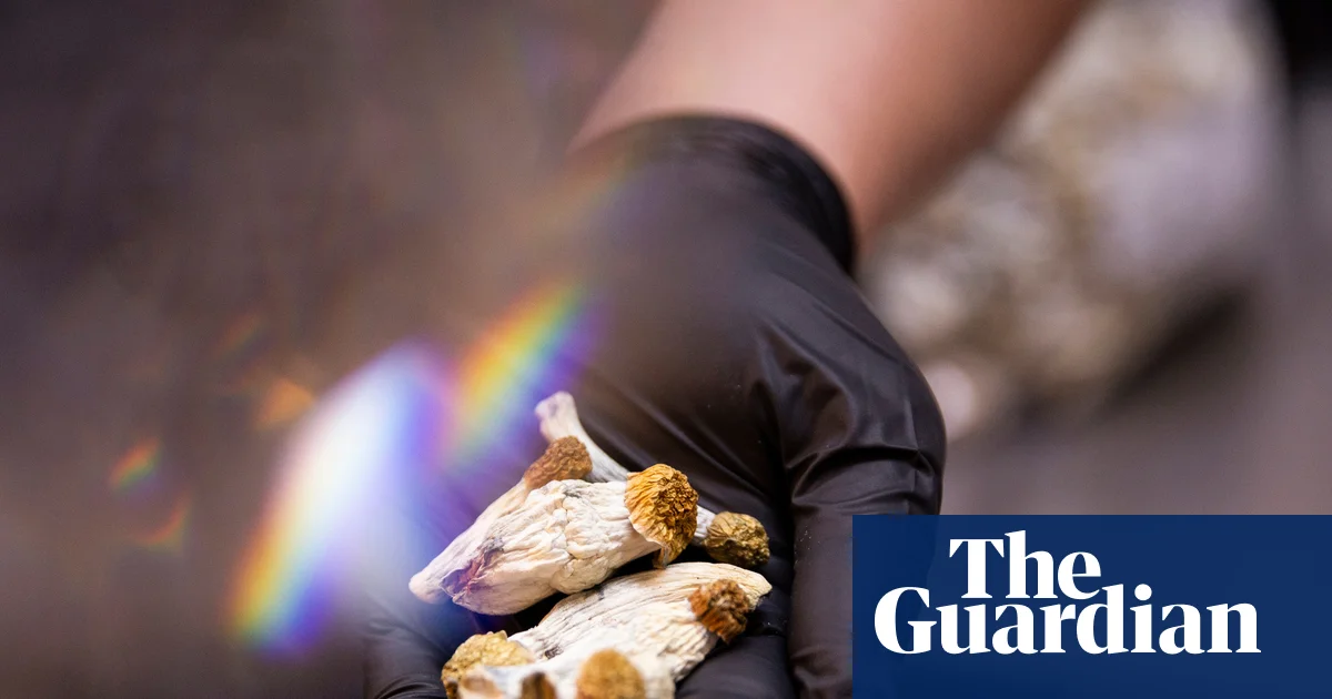 Magic mushrooms could be effective treatment for cocaine addiction, study shows | Drugs