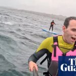 ‘Don’t fall!’: foil boarders describe hair-raising shark chase caught on video off California coast | California