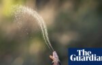Risk of snakebites increasing as reptiles adapt to changing world, says study | Snakes