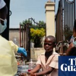 Infectious diseases such as hantavirus and Ebola becoming more frequent and damaging, say experts | Global health