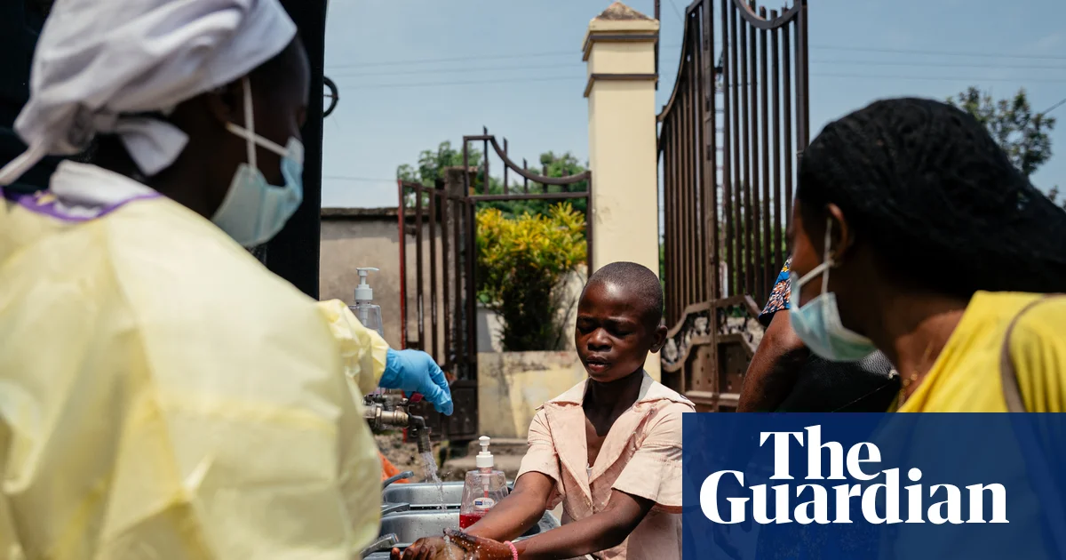 Infectious diseases such as hantavirus and Ebola becoming more frequent and damaging, say experts | Global health