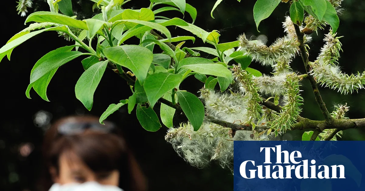 The climate crisis is making our hay fever worse – and affecting our enjoyment of nature | Environment