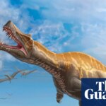 German museum to return rare Irritator dinosaur skull to Brazil | Dinosaurs