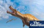 German museum to return rare Irritator dinosaur skull to Brazil | Dinosaurs