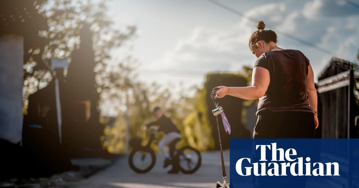 Obesity rates in some countries levelling off or potentially falling, study finds | Obesity
