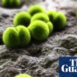 One dead and two more ill after meningitis outbreak in Berkshire | Meningitis