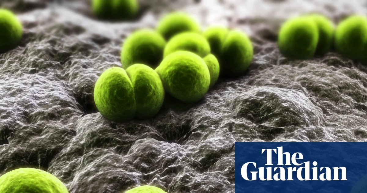 One dead and two more ill after meningitis outbreak in Berkshire | Meningitis