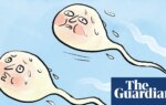 Is it true that … saunas can reduce your sperm count? | Life and style
