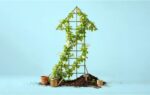 How Fast-Growing Companies Can Make Better Decisions