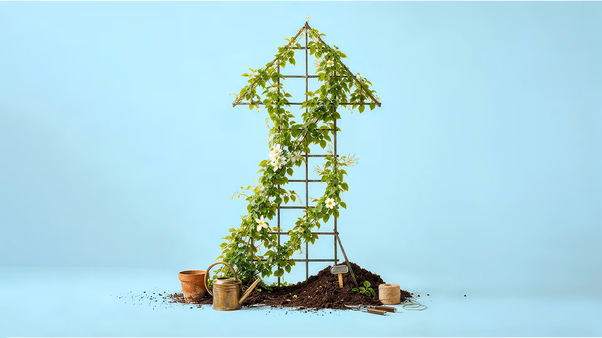 How Fast-Growing Companies Can Make Better Decisions