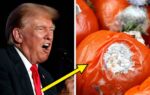 Americans Reveal How US Food Quality Has Declined