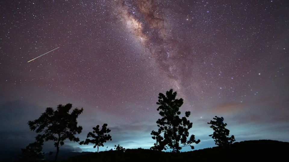  A lone meteor is pictured streaking through a starry sky above the silhouettes of trees, as the glowing ribbon of the Milky Way arcs overhead. 