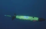 Underwater robot tracks sperm whale conversations in real time