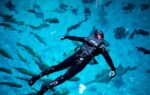 Injured US military veterans find relief and awe swimming with a whale shark at Georgia Aquarium