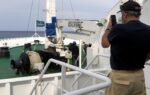 WHO head seeks to reassure Tenerife residents ahead of arrival of hantavirus cruise ship