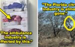 19 Industries People Don't Know Are Really Struggling