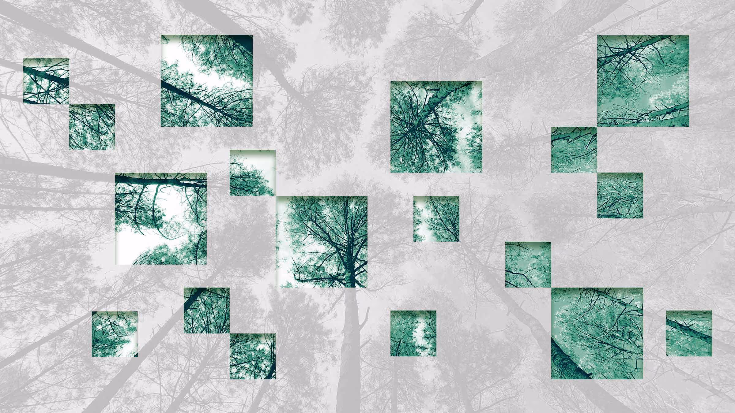AI Can Measure How ESG Really Impacts the Bottom Line